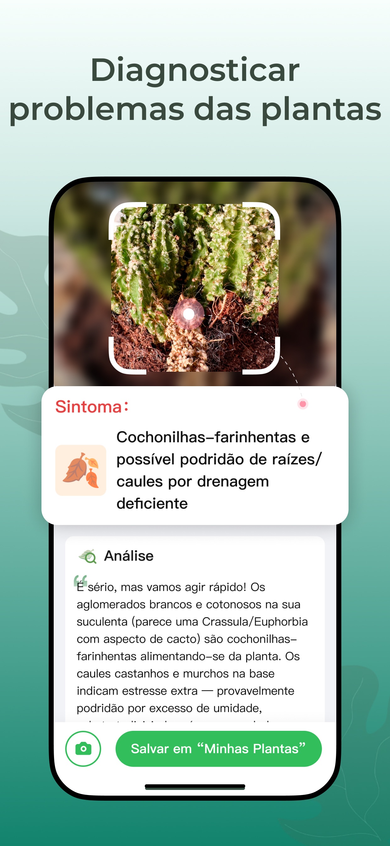 Captura de ecrã 3 da app PlantScope: Identifica Plantas