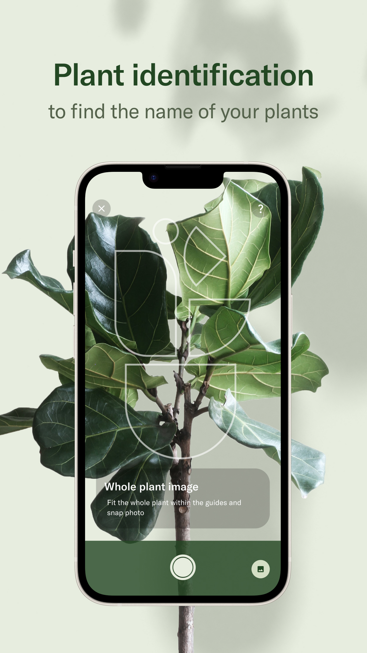 Captura de ecrã 3 da app Planta: Complete Plant Care
