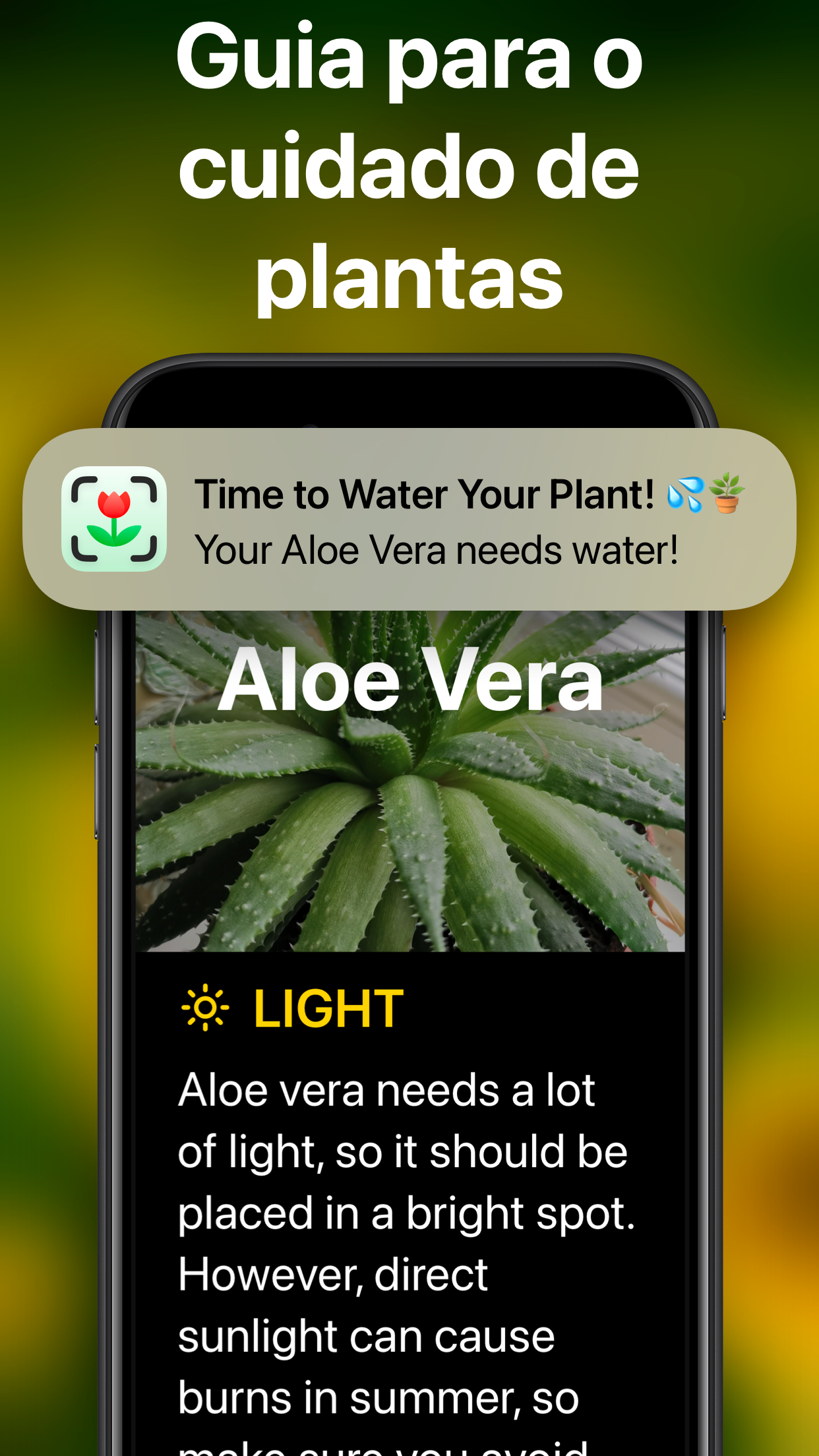 Captura de ecrã 3 da app PlantAI Identificação plantas